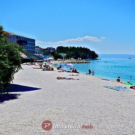 Mimoza 3 *